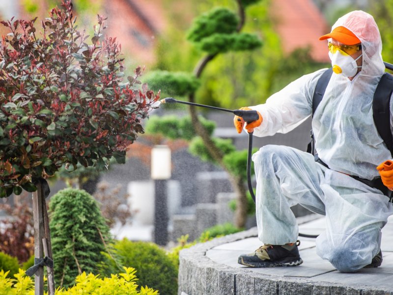 Feke Haşere İlaçlama